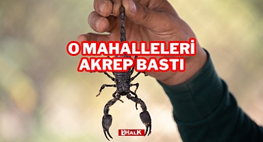 O MAHALLELERİ AKREP BASTI