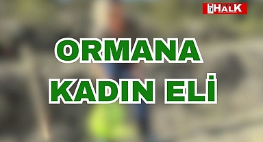 Ormana Kadın Eli