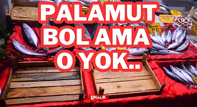 PALAMUT BOL AMA O YOK..