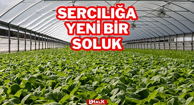 Seracılığa Yeni Bir Soluk