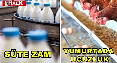 Süte Zam Yumurtada Ucuzluk