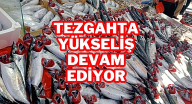 Tezgahta Yükseliş Devam Ediyor
