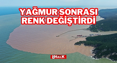 Yağmur Sonrası Renk Değişti