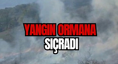 Yangın ormana sıçradı