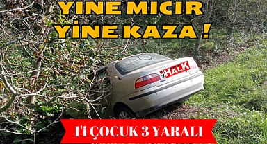 YİNE MICIR YİNE KAZA