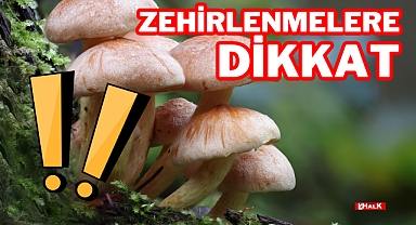 ZEHİRLENMELERE DİKKAT!