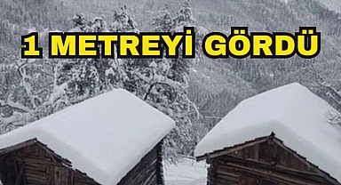 1 Metreyi Gördü