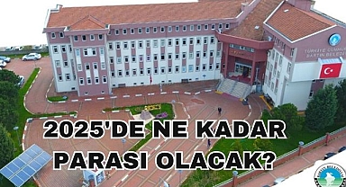 2025'De Ne Kadar Parası Olacak?