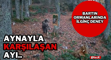 AYNA İLE KARŞILAŞAN AYI