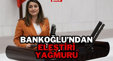 Bankoğlu'ndan Eleştiri Yağmuru