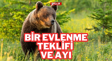 BİR EVLENME TEKLİFİ VE AYI