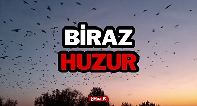 Biraz Huzur..
