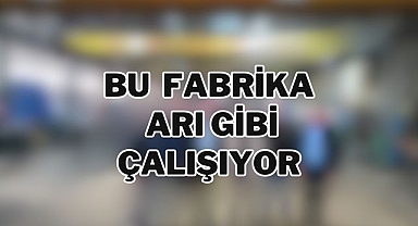 Bu Fabrika Arı Gibi Çalışıyor