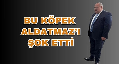 Bu Köpek Aldatmaz'ı Şok Etti