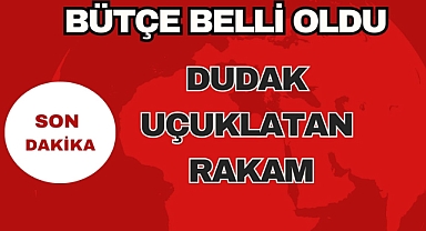 Bütçe Belli Oldu