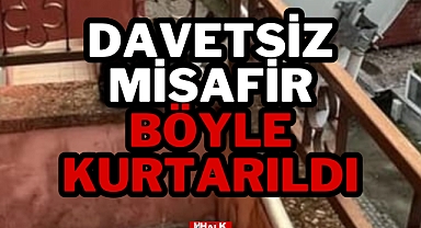 Davetsiz Misafir Böyle Kurtarıldı