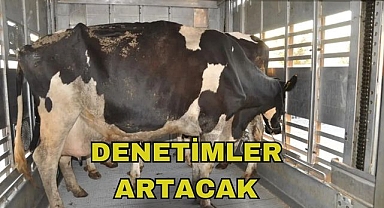 Denetimler Artacak