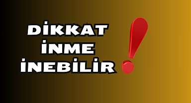 Dikkat İnme İnebilir!