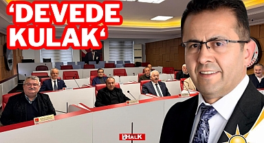 Işık'tan 'Devede Kulak' Yanıtı