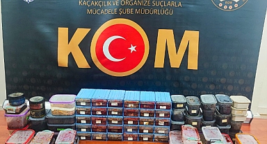 Kutu Kutu Yakalandı