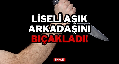 Liseli Aşık Arkadaşını Bıçakladı!