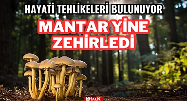 MANTAR YİNE ZEHİRLEDİ