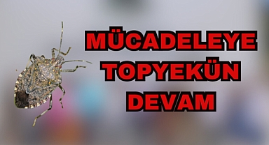 MÜCADELEYE TOPYEKÜN DEVAM