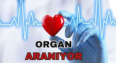 Organ Aranıyor