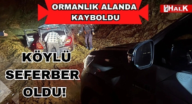 ORMANLIK ALANDA KAYBOLDU