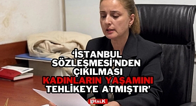 Özdemir'den 25 Kasım Açıklaması