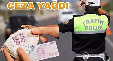 Polis Affetmedi