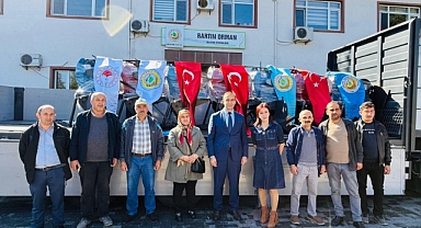 Rahat tomruk çekecekler
