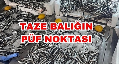 Taze Balığın Püf Noktası