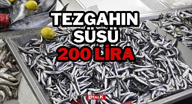 TEZGAHIN SÜSÜ 200 LİRA