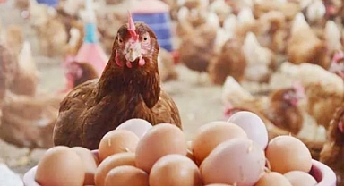 Üretim Arttı Ucuzlayacak mı?