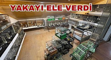 Yakayı Ele Verdi