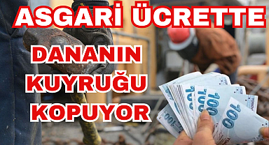 Asgari Ücrette Dananın Kuyruğu Kopuyor