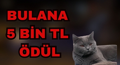 BULANA 5 BİN TL ÖDÜL