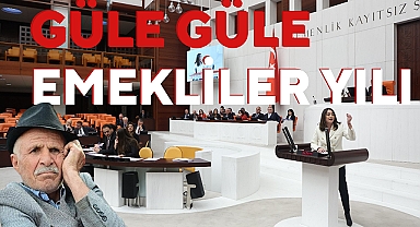 GÜLE GÜLE EMEKLİLER YILI