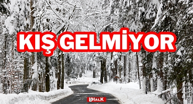 KIŞ GELMİYOR