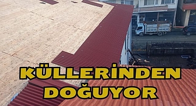Küllerinden Doğuyor