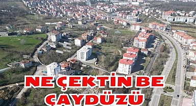 Ne Çektin Be Çaydüzü