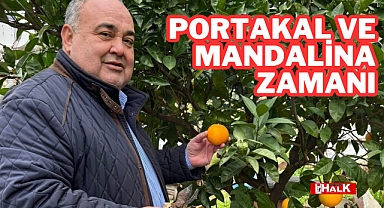 Portakal ve Mandalina Zamanı