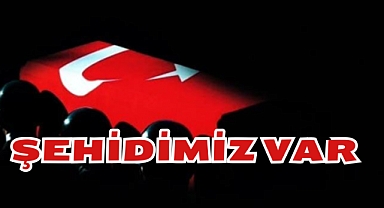 ŞEHİDİMİZ VAR