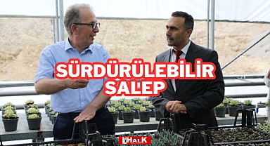 Sürdürülebilir Salep