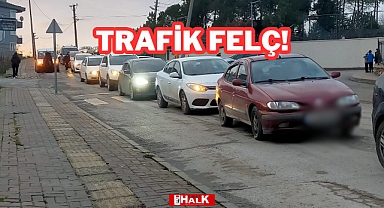 Trafik Felç