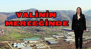 Valinin Merceğinde