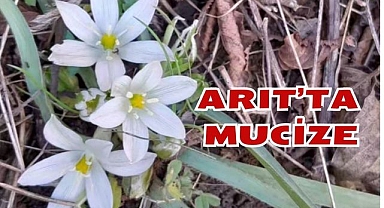 Arıt'ta Mucize