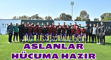 Aslanlar Hücuma Hazır