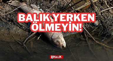 Balık Yerken Ölmeyin!